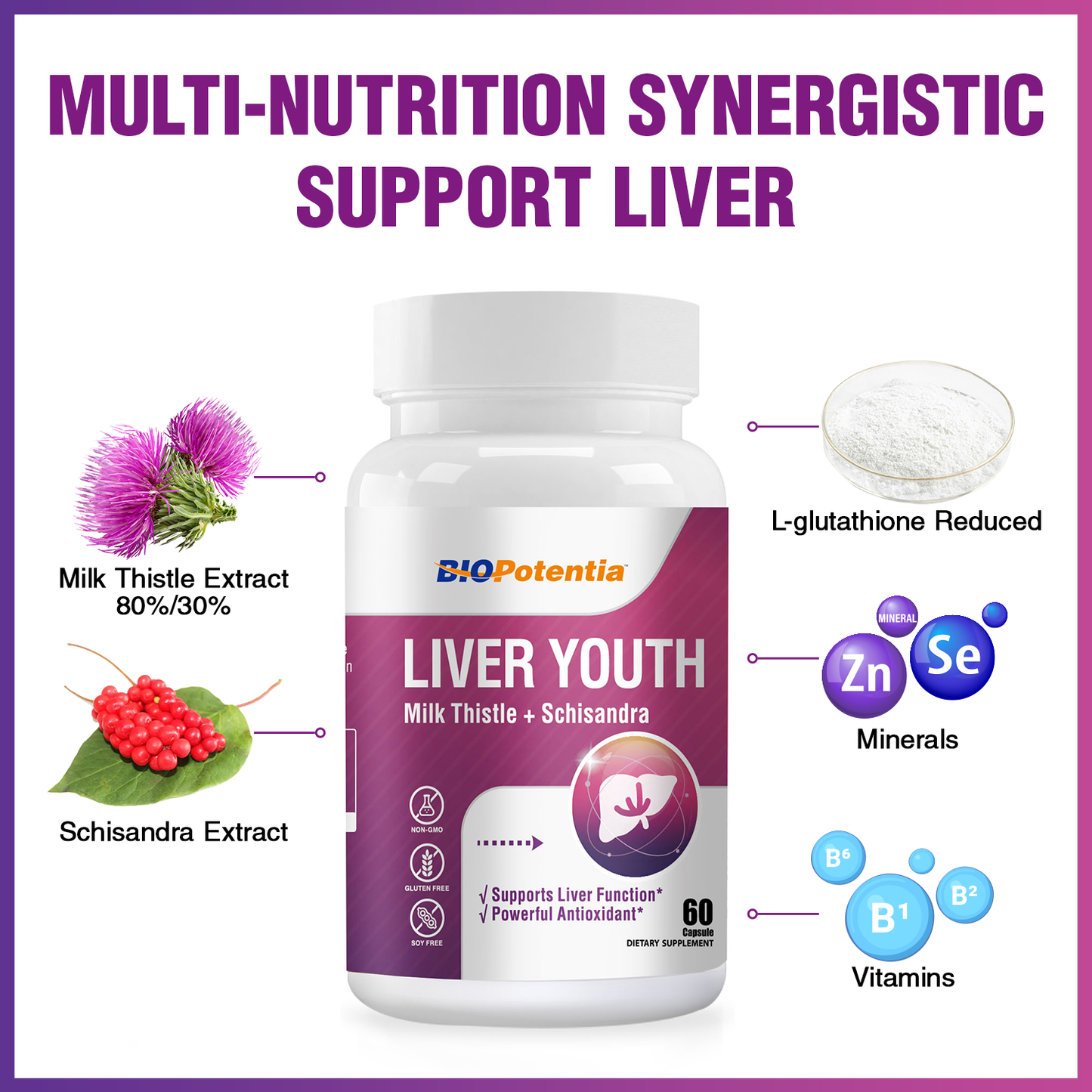 Milk Thistle & Schisandra Supplement for Liver Health Support, Antioxidant Support, 60 Capsules