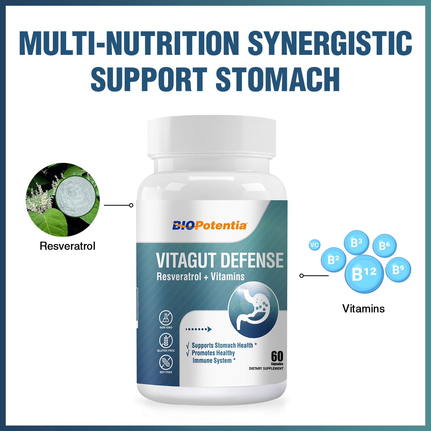 Resveratrol + Vitamins Supplement, Supports Stomach Health & Immunity - 60 Capsules