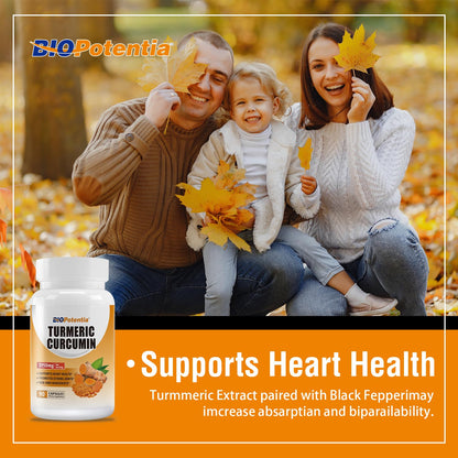 Turmeric Curcumin with Black Pepper & Ginger 95% Standardized Curcuminoids 1950mg - Ultra High Absorption, Natural Joint Support, Natures Tumeric Extract Supplement Non-GMO -90 Capsules